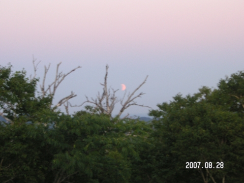 s_PICT0389.jpg